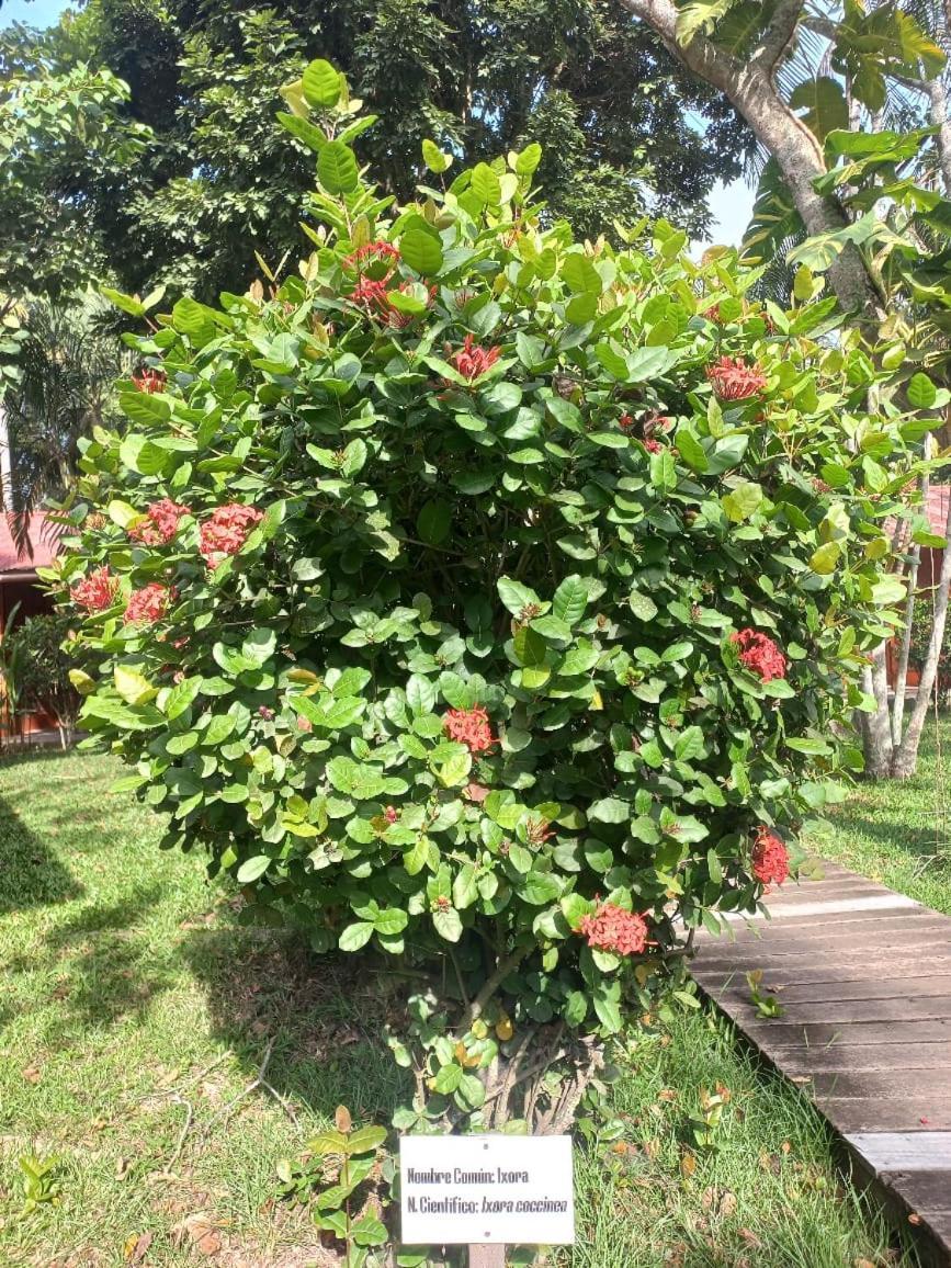 Manish Hotel Ecologico Pucallpa Esterno foto